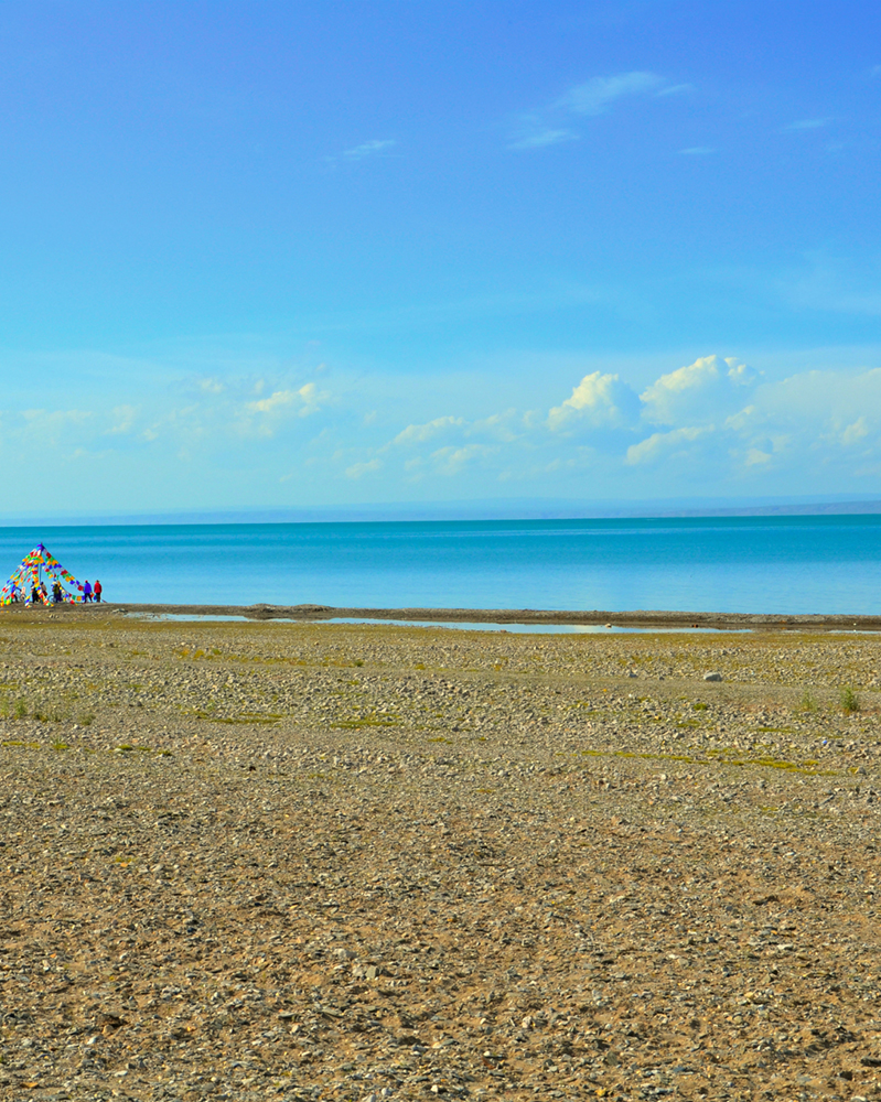 青海湖湖畔